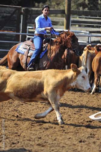 Photo: Young woman is riding a horse Young woman is riding a horse