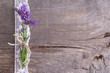 Sommerlicher Hintergrund mit Lavendel