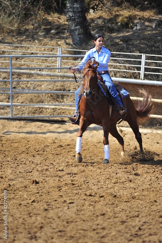 Photo: Girl riding a horse in competition Girl riding a horse in competition