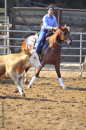 Photo: Young woman is riding a horse Young woman is riding a horse