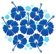 Hibiscus theme image 1