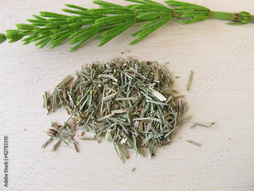 Foto: Schachtelhalmkraut, Equiseti herba Schachtelhalmkraut, Equiseti herba