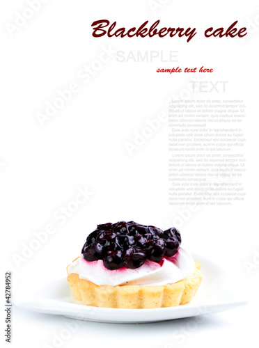 Photo: Fresh Blueberry Cake isolated on a white background Fresh Blueberry Cake isolated on a white background