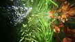 motionberry 1.12