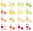 Fruit Juice Icon Set