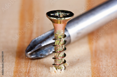 Foto: Screw with screwdriver Screw with screwdriver
