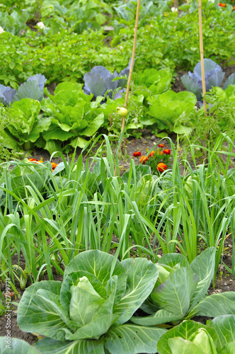 Photo: Jardin Jardin