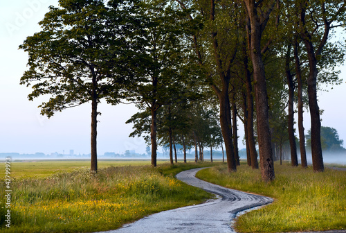 Photo: curved path between trees curved path between trees