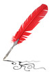 Red and silver quill