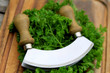 Petersilie mit Wiegemesser