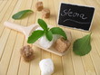 Rohrzucker und Stevia mit beschrifteter Tafel
