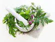 Herbs and Mortar