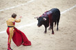 Torero entrando a matar