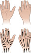 Vector: Woman, man hands with massaging lines Woman, man hands with massaging lines