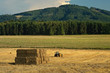 Corn field after harvest, straw stack and a mountain