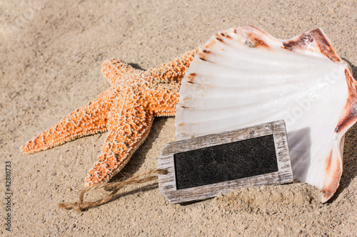 Foto: Muschel, Seestern und Schild zum Beschriften Muschel, Seestern und Schild zum Beschriften