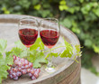 wine