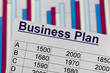 Businessplan
