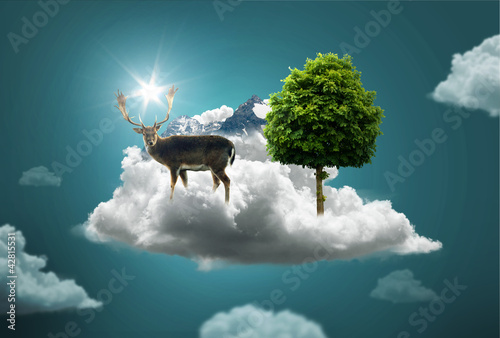 Foto: Nature Nature