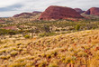 Wild nature in the Australian outback