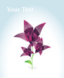 Vector: origami-flower origami-flower
