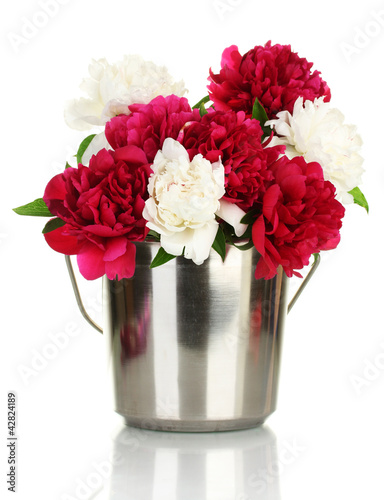 Foto: beautiful pink and white peonies in bucket isolated on white beautiful pink and white peonies in bucket isolated on white