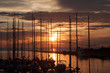 Sailboats In Harbor With Sunset