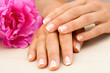 Close up of female hands with flower.