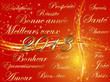 meilleurs voeux 2013 fond rouge & mots