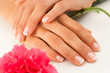 Photo: Female hands with french manicure. Female hands with french manicure.