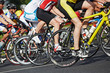 racing cyclists