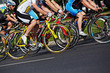 racing cyclists