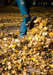 Feet walking through brightly colored fall leaves on the ground.