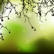 Autumn background, ornament