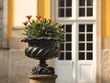 Blumenschale