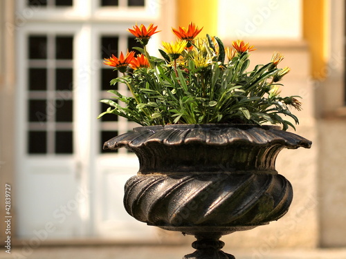 Foto: Blumenschale Blumenschale