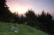 Sonnenaufgang im Gebirge