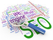 Magnifier and Wordcloud of SEO