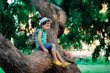 the boy on a tree