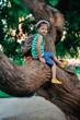 the boy on a tree