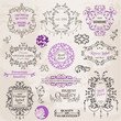 Vector: Vector Set: Calligraphic Design Elements and Page Decoration, Vi Vector Set: Calligraphic Design Elements and Page Decoration, Vi