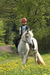 Ausritt Mädchen mit Pony