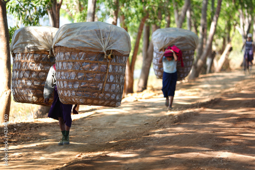 Photo: Village women carrying large baskets of produce in Myanmar Village women carrying large baskets of produce in Myanmar