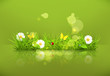Green grass, 10eps
