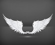 Wings White, eps10