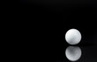 Solo Ball