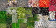 Foto: Vegetables colorful Collection Vegetables colorful Collection