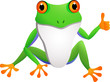 Vector: funny frog cartoon funny frog cartoon