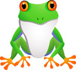 Vector: funny frog cartoon funny frog cartoon