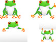 Vector: funny frog collection funny frog collection